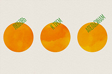 Любовь к трем апельсинам (полусценическое исполнение)